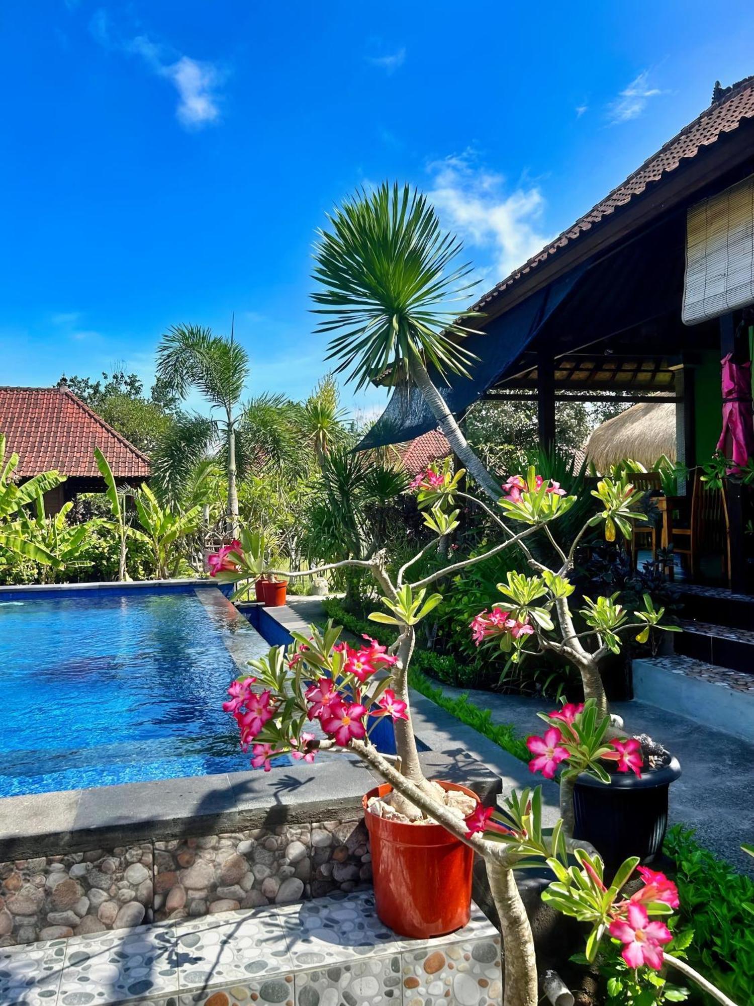 Island Garden Huts Lembongan Bed and Breakfast Εξωτερικό φωτογραφία