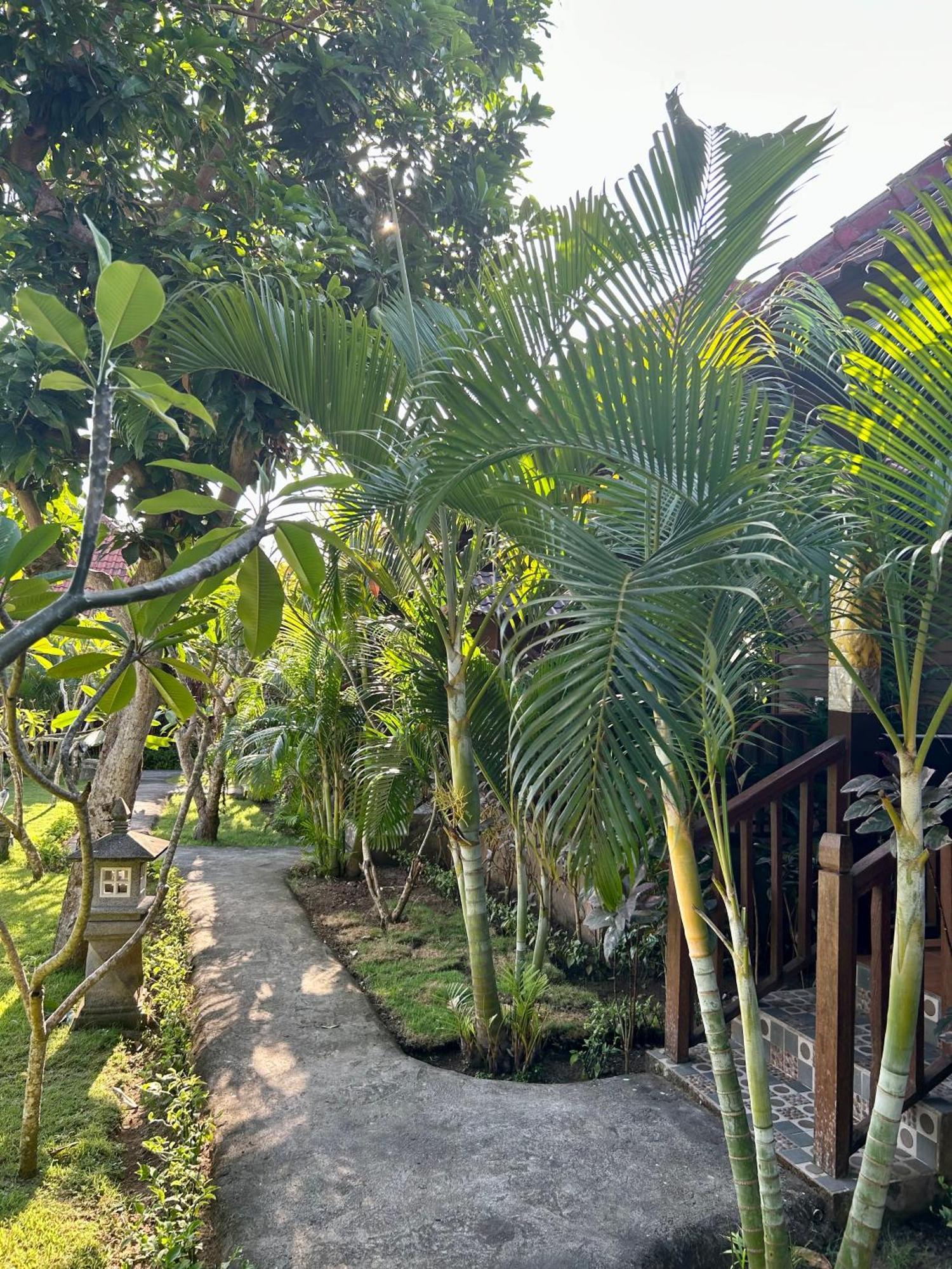 Island Garden Huts Lembongan Bed and Breakfast Εξωτερικό φωτογραφία