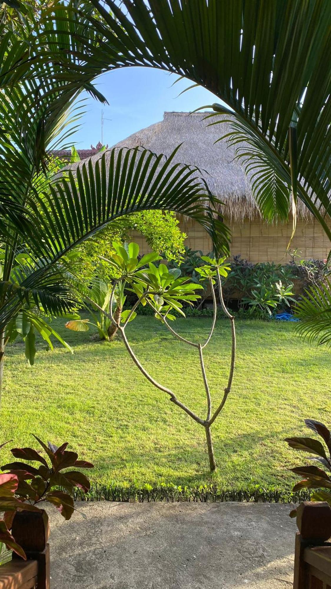 Island Garden Huts Lembongan Bed and Breakfast Εξωτερικό φωτογραφία