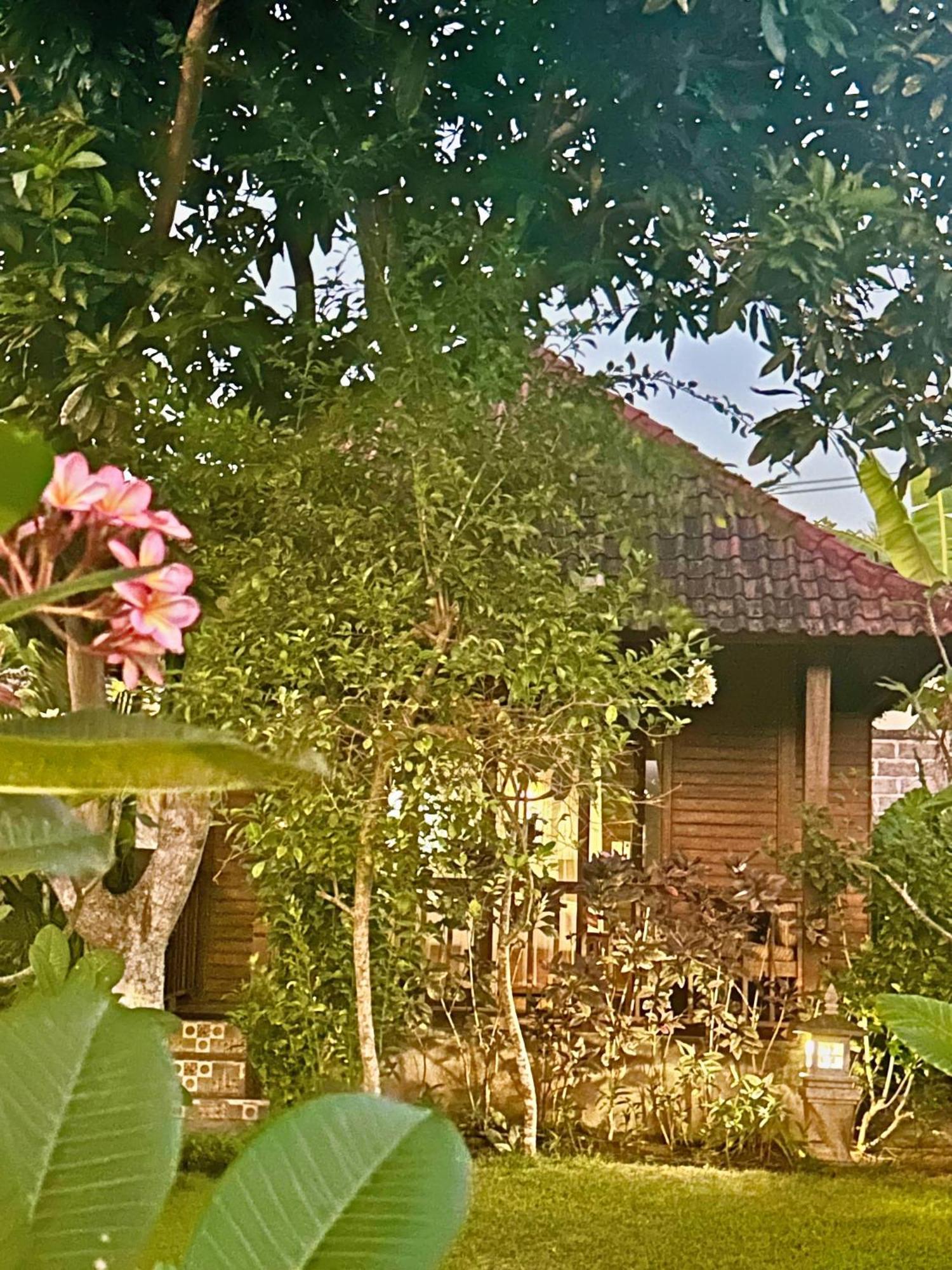 Island Garden Huts Lembongan Bed and Breakfast Εξωτερικό φωτογραφία