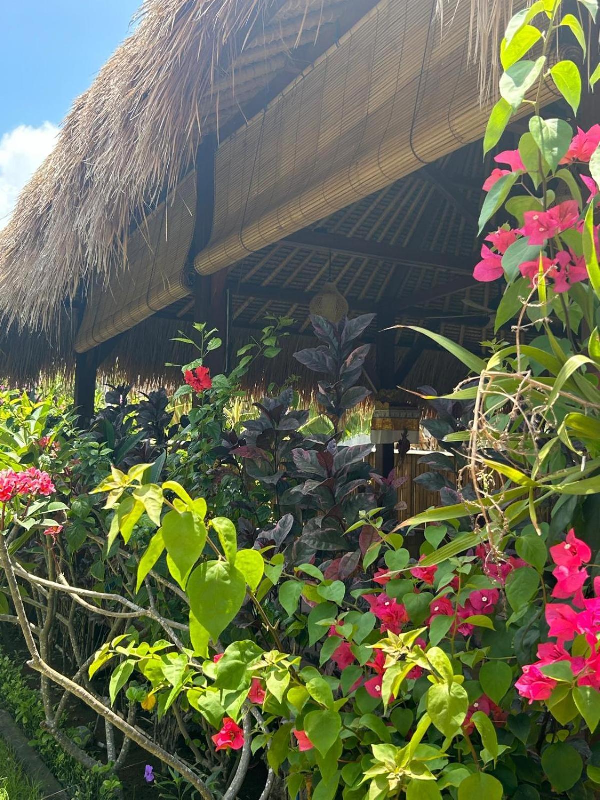 Island Garden Huts Lembongan Bed and Breakfast Εξωτερικό φωτογραφία