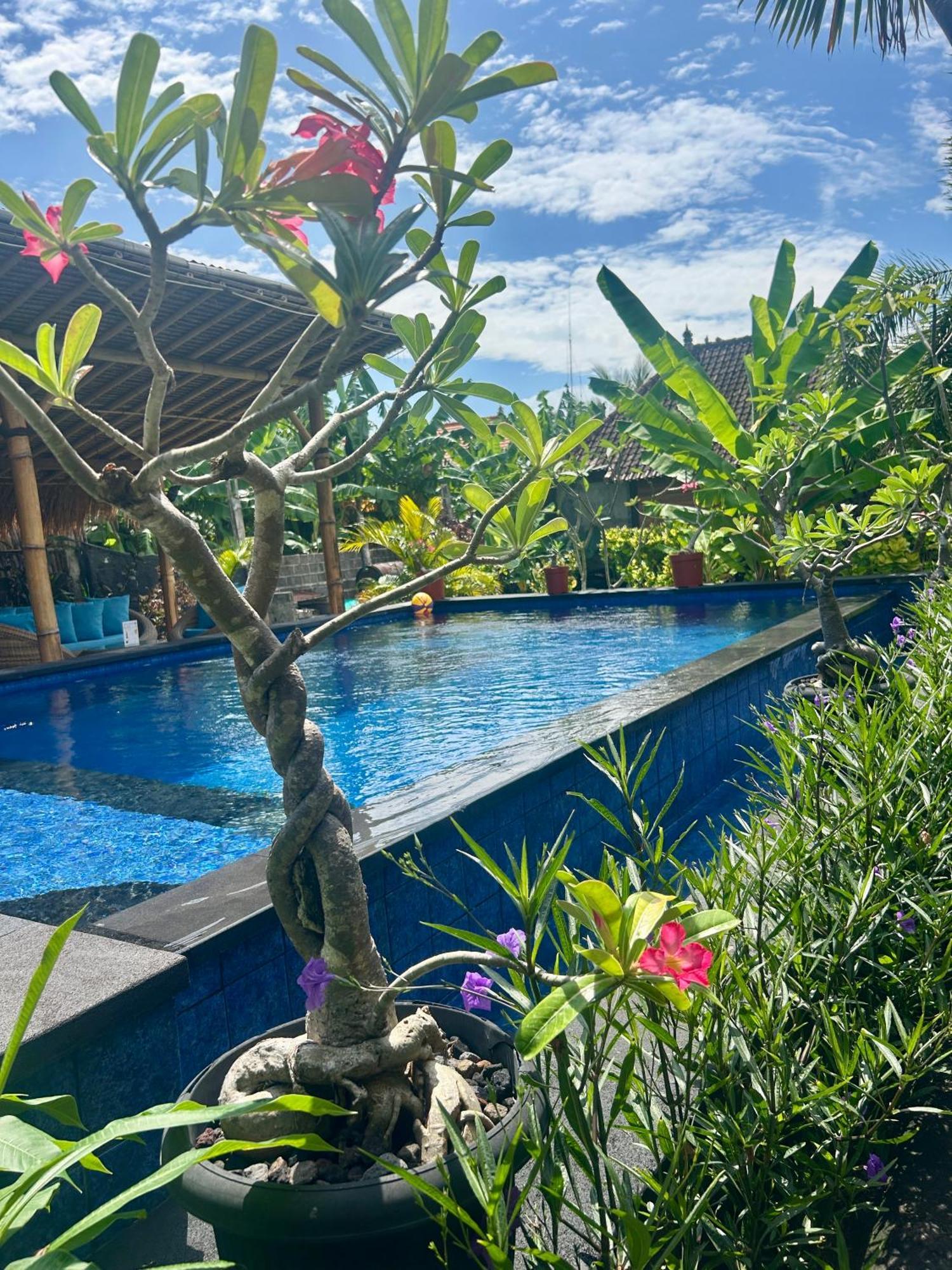 Island Garden Huts Lembongan Bed and Breakfast Εξωτερικό φωτογραφία