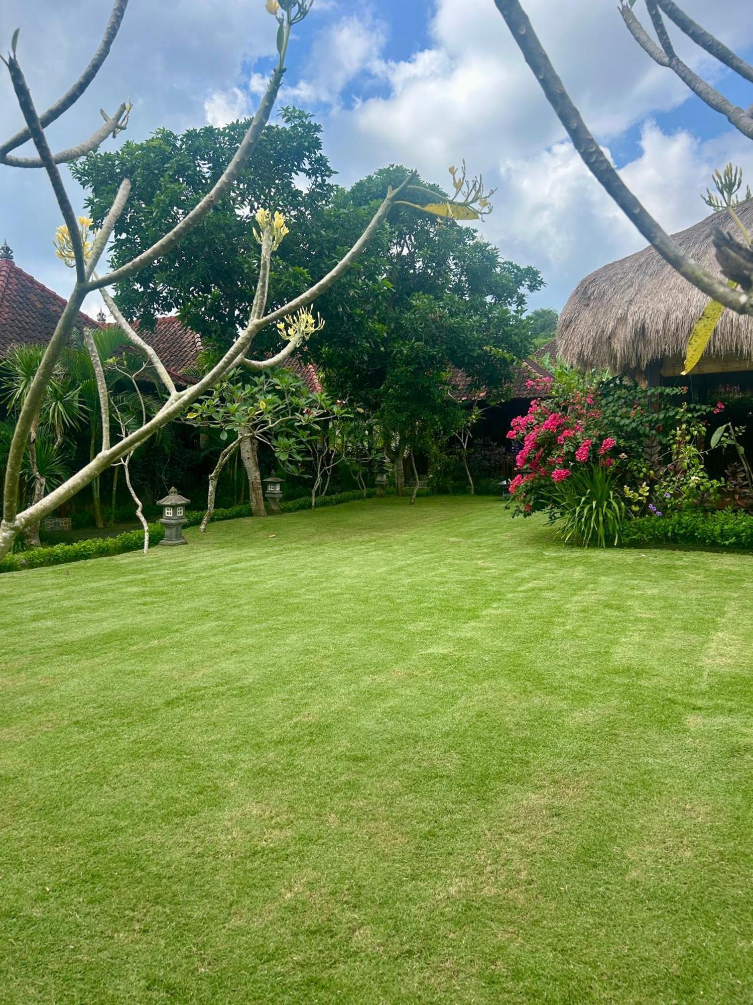 Island Garden Huts Lembongan Bed and Breakfast Εξωτερικό φωτογραφία