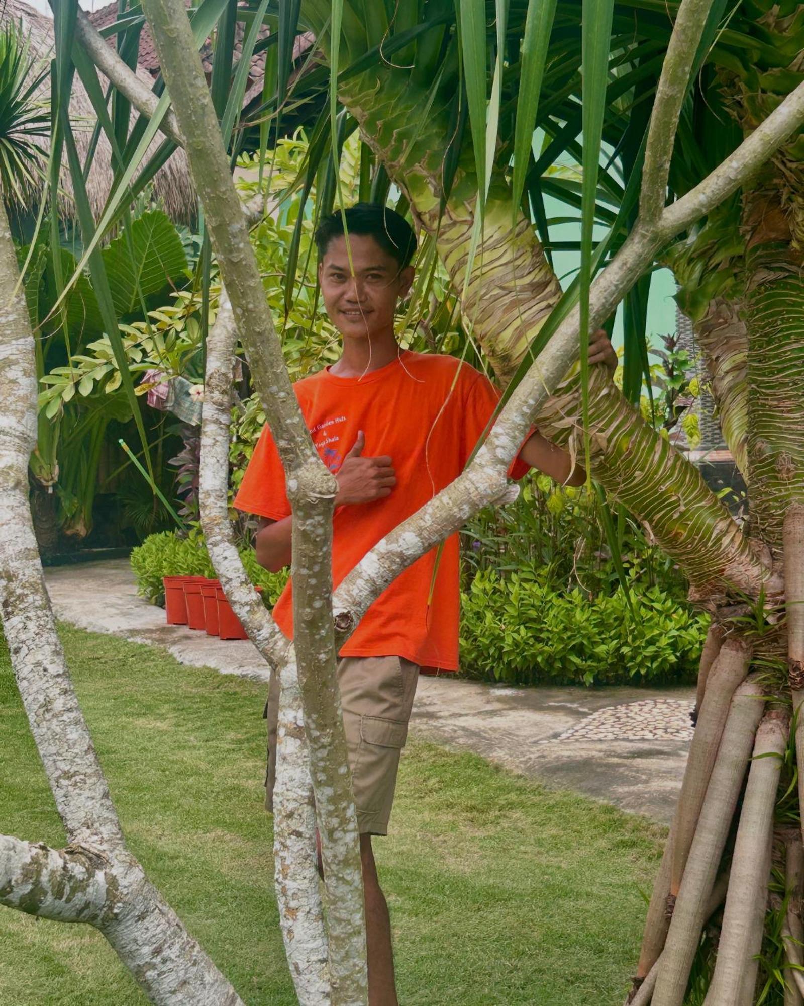 Island Garden Huts Lembongan Bed and Breakfast Εξωτερικό φωτογραφία